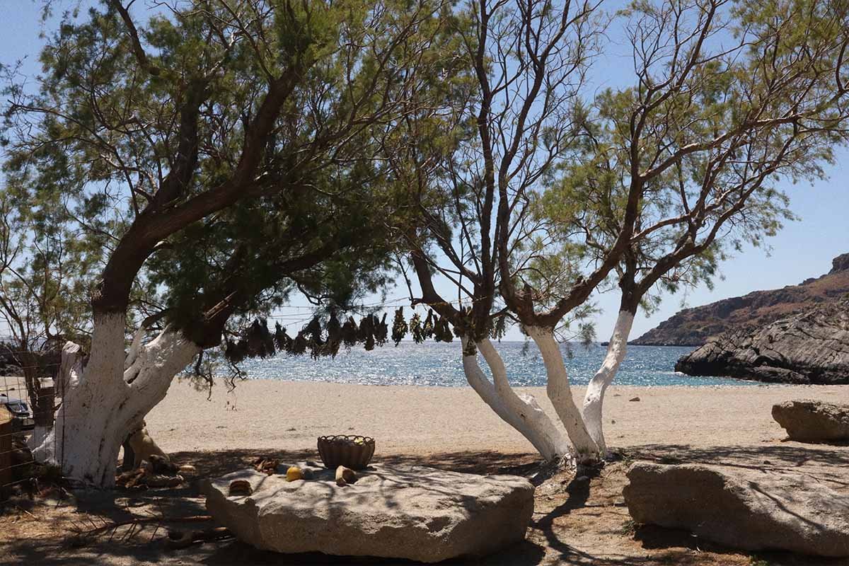 Beach where locals go in chania, crete