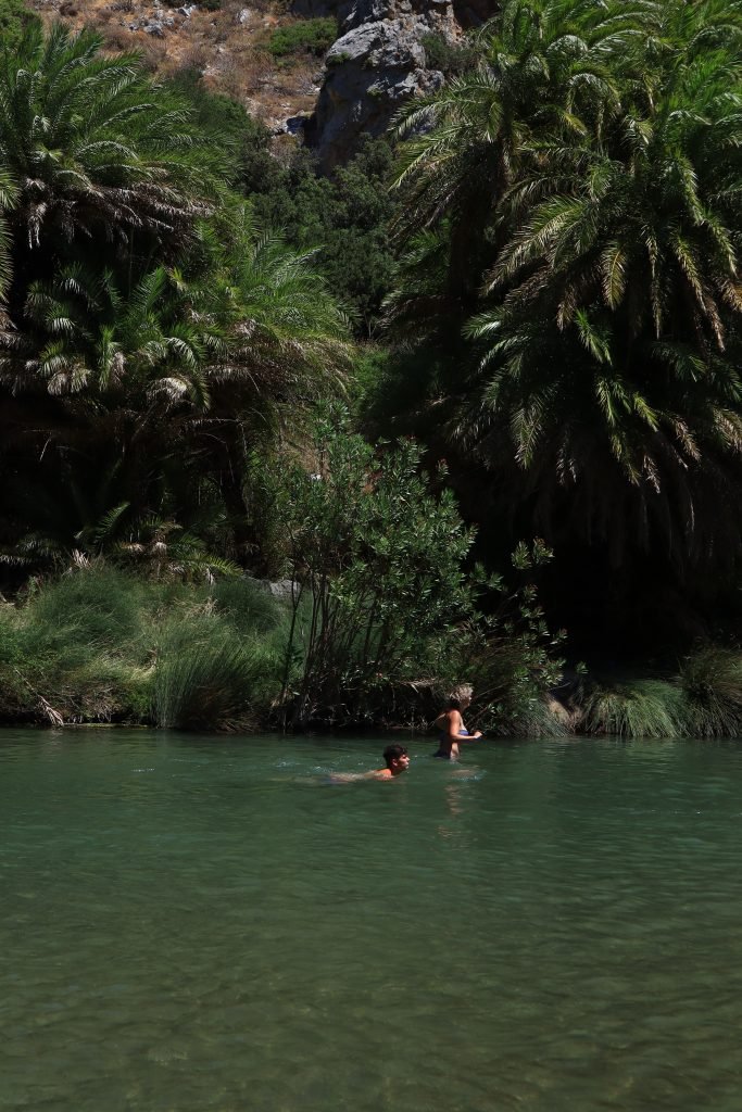 preveli palm forest meraki darling experience crete